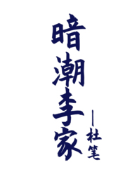 湖北省团风县杜皮乡李家大湾铁矿勘查